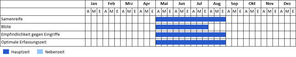 Acker-Hahnenfuß Phänogramm
