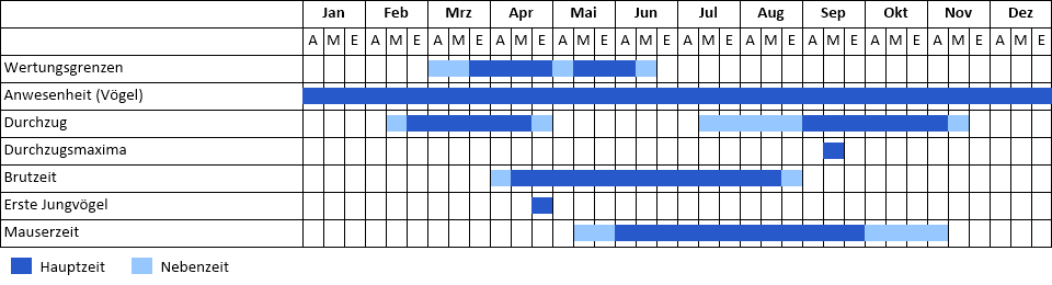 Teichralle Phänogramm