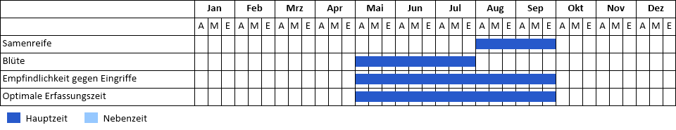 Strauch-Sumach Phänogramm