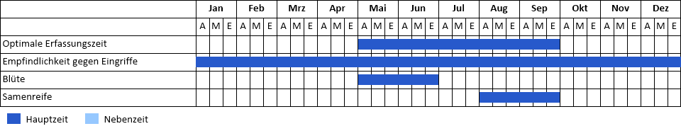 Gewöhnliche Robinie Phänogramm