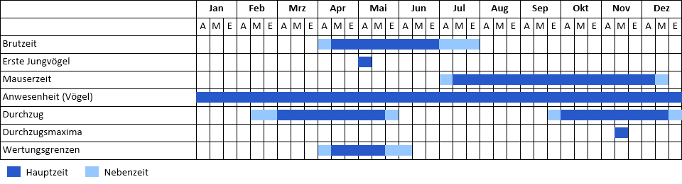 Austernfischer Phänogramm