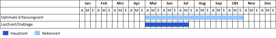 Stromgründling Phänogramm