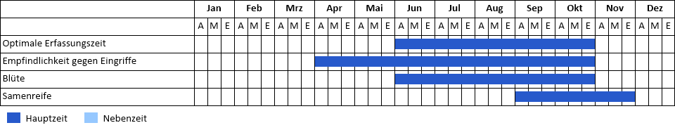 Salz-Bunge Phänogramm