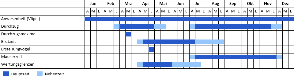 Bekassine Phänogramm