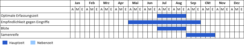 Kaukasus-Fetthenne Phänogramm