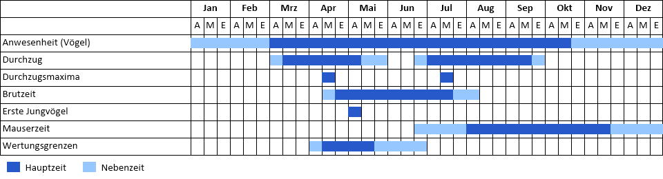 Rotschenkel Phänogramm