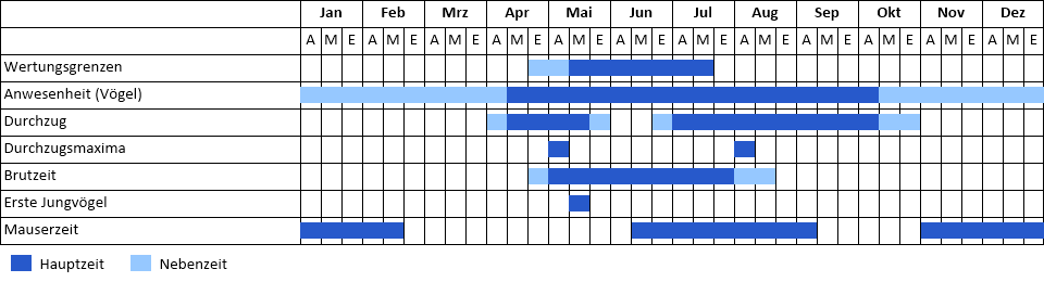 Flussuferläufer Phänogramm