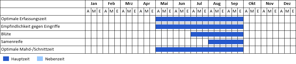 Gelbfilziger Spierstrauch Phänogramm