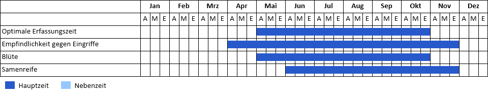 Acker-Ziest Phänogramm