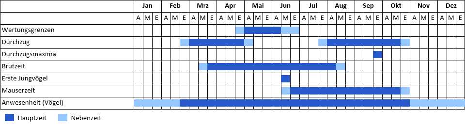 Schwarzkopfmöwe Phänogramm