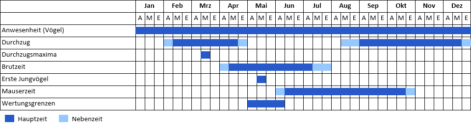 Lachmöwe Phänogramm