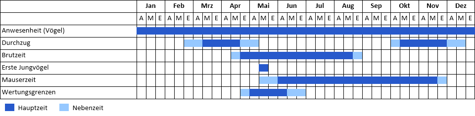 Sturmmöwe Phänogramm