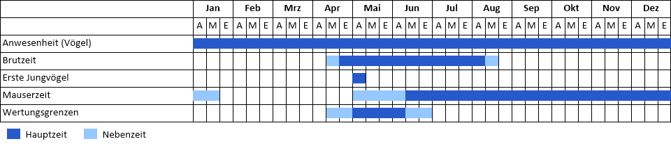 Silbermöwe Phänogramm