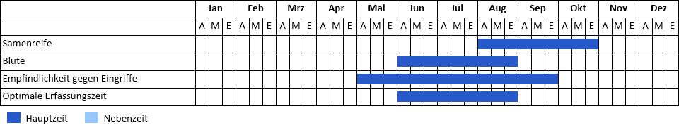 Gewöhnliche Telekie Phänogramm