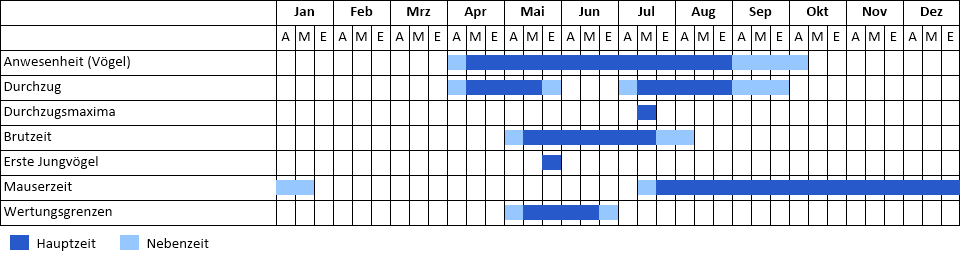 Zwergseeschwalbe Phänogramm