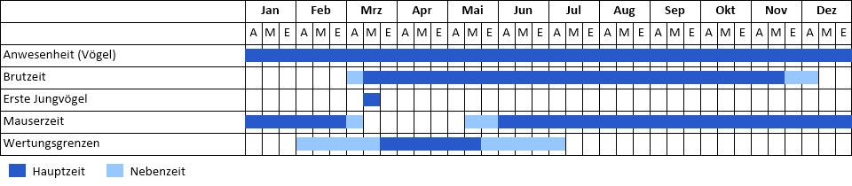 Schleiereule Phänogramm