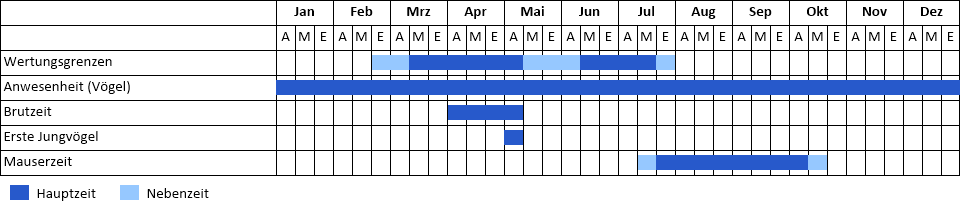 Sperlingskauz Phänogramm