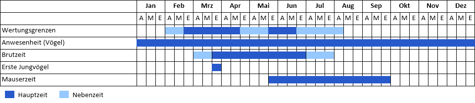 Rauhfußkauz Phänogramm