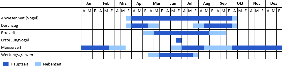 Bienenfresser Phänogramm