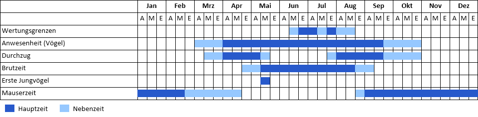 Uferschwalbe Phänogramm