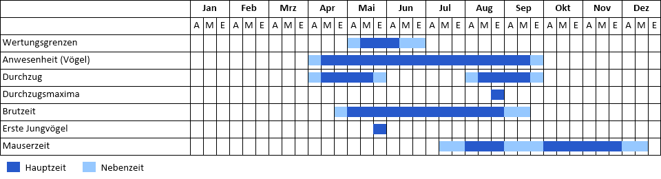 Brachpieper Phänogramm