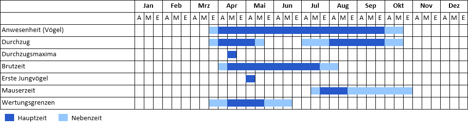 Blaukehlchen Phänogramm