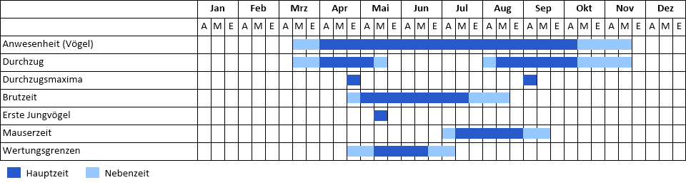 Braunkehlchen Phänogramm