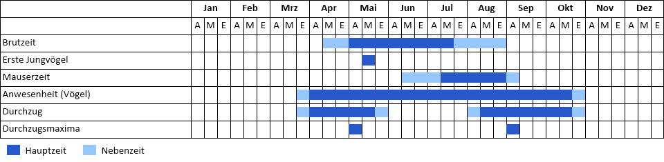 Steinschmätzer Phänogramm