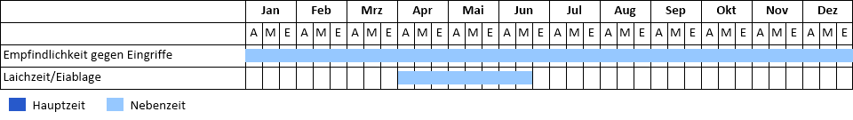 Schlammpeitzger Phänogramm