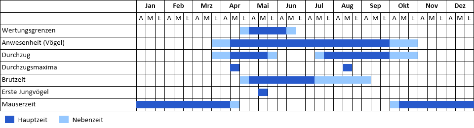 Schilfrohrsänger Phänogramm