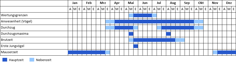 Teichrohrsänger Phänogramm