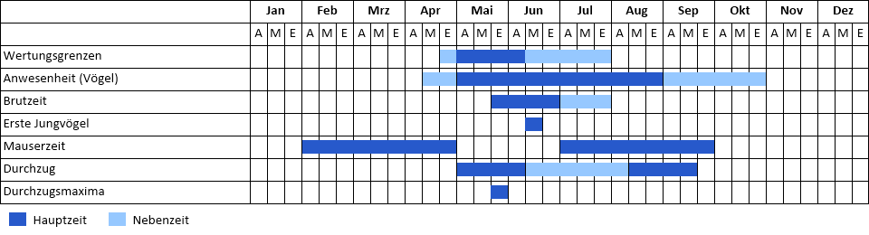 Zwergschnäpper Phänogramm