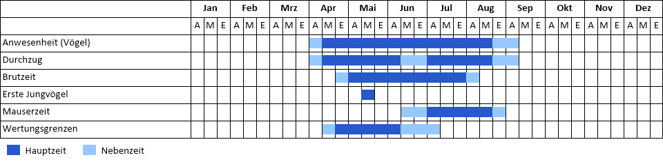 Halsbandschnäpper Phänogramm