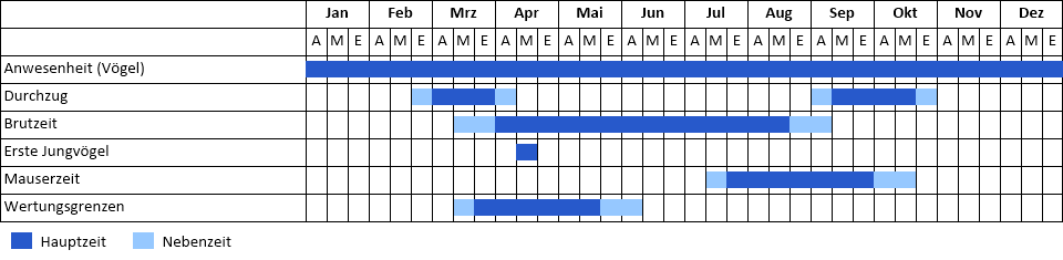 Bartmeise Phänogramm