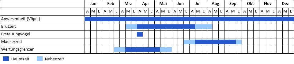 Gartenbaumläufer Phänogramm