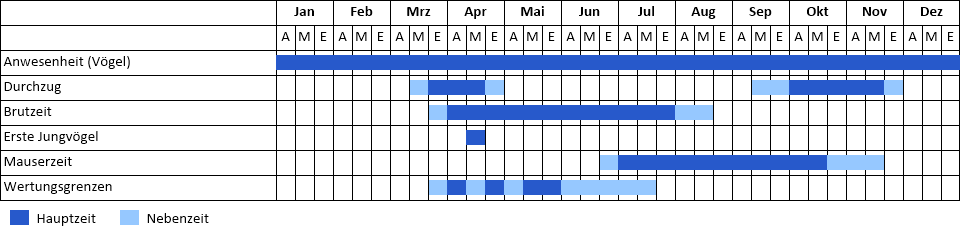 Raubwürger Phänogramm