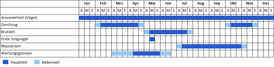 Grauammer Phänogramm
