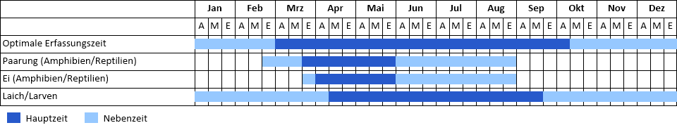 Bergmolch Phänogramm