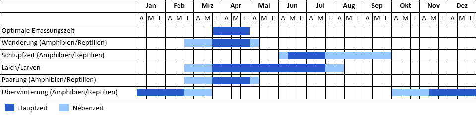 Erdkröte Phänogramm