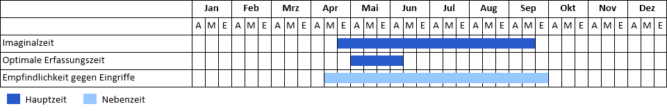Cicindela sylvatica sylvatica Phänogramm