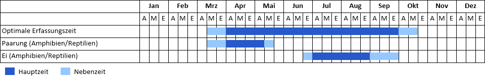 Ringelnatter Phänogramm