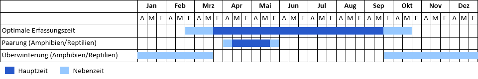 Kreuzotter Phänogramm