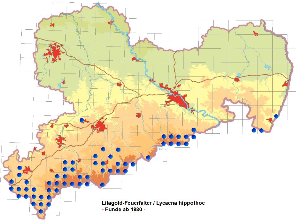 Lilagold-Feuerfalter Verbreitungskarte