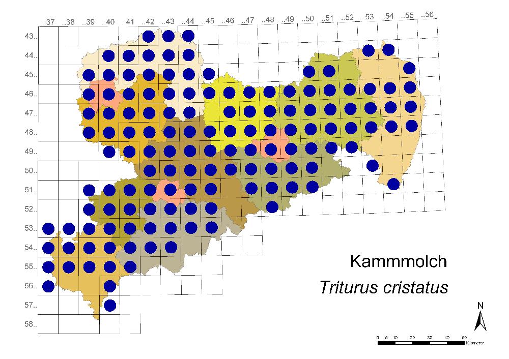 Nördlicher Kammmolch Verbreitungskarte