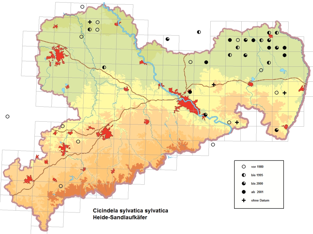 Cicindela sylvatica sylvatica Verbreitungskarte