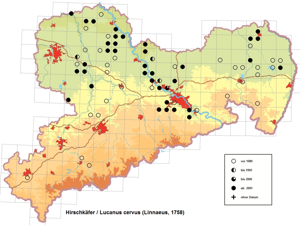 Hirschkäfer Schutzstrategie-Karte