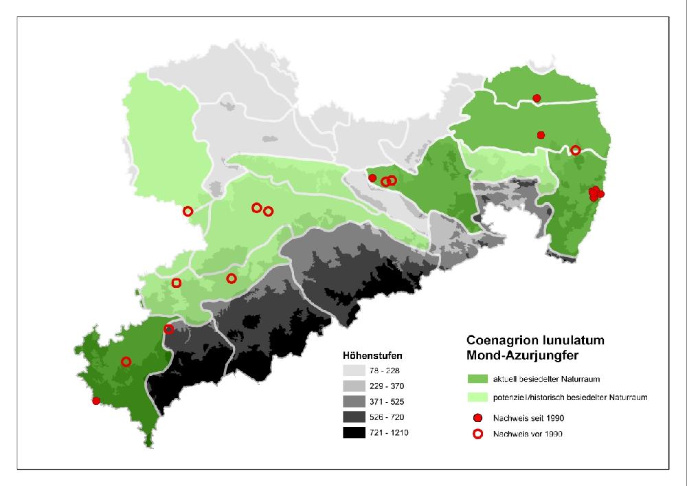 Mond-Azurjungfer Schutzstrategie-Karte