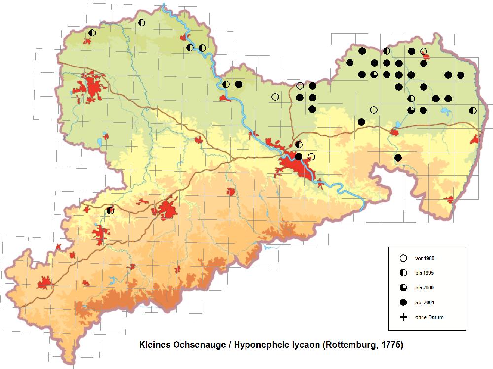 Kleines Ochsenauge Schutzstrategie-Karte