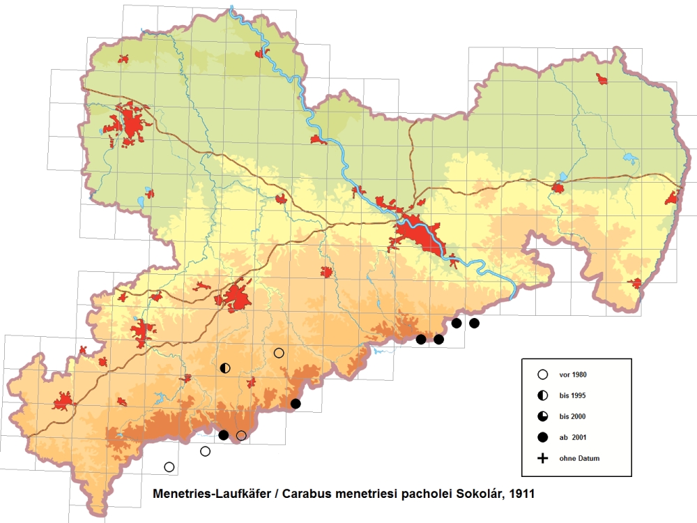 Menetries-Laufkäfer Schutzstrategie-Karte