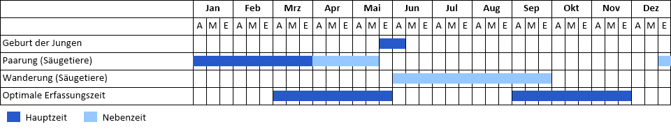 Biber Phänogramm